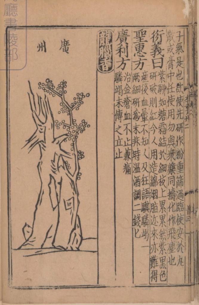 Figure 12.6b: Xinxiu bencao